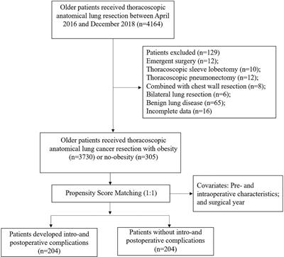 Obesity Does Not Increase Perioperative Outcomes in Older Patients Undergoing Thoracoscopic Anatomic Lung Cancer Surgery